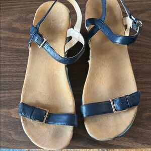Vionic Navy Blue Wedges